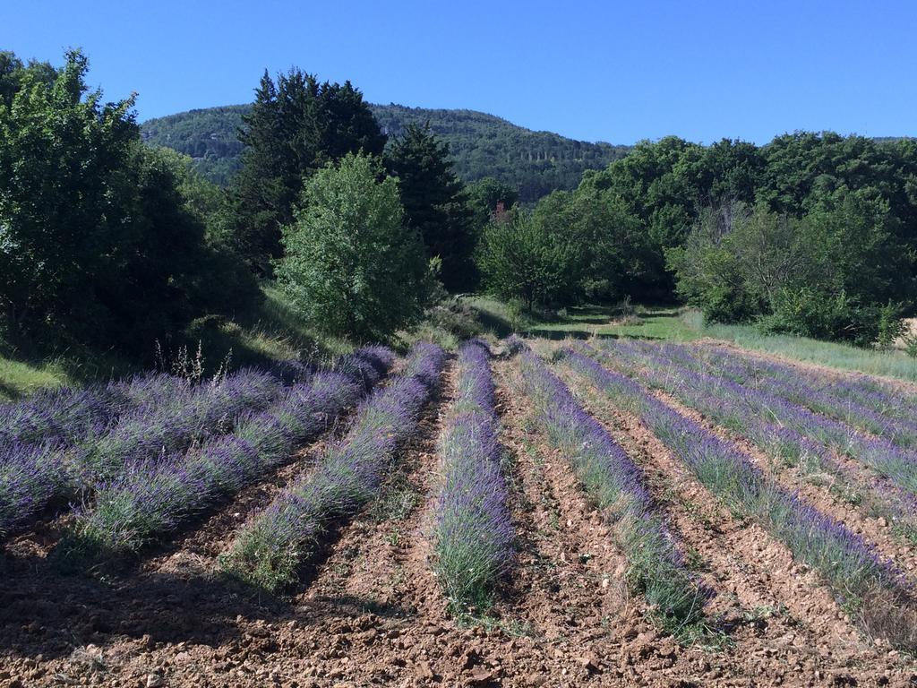 Chateau De Peyrolles Holiday home *